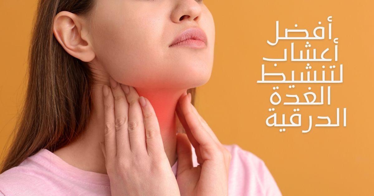 أفضل أعشاب لتنشيط الغدة الدرقية وزيادة معدل حرق الدهون بشكل طبيعي 
