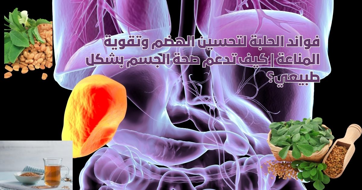 فوائد الحلبة لتحسين الهضم وتقوية المناعة | كيف تدعم صحة الجسم بشكل طبيعي؟
