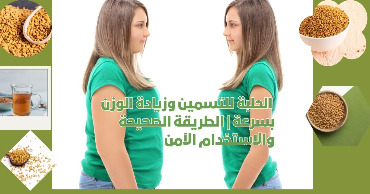 الحلبة للتسمين وزيادة الوزن بسرعة | الطريقة الصحيحة والاستخدام الآمن
