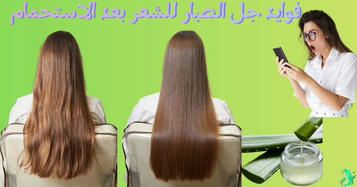 طريقة استخدام جل الصبار للشعر بعد الاستحمام وفوائده للشعر الجاف والتالف