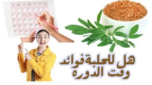 فوائد الحلبة وقت الدورة: كيف تصبح صديقك الأساسي في هذه الفترة فوائد- الحلبه-وقت-الدوره