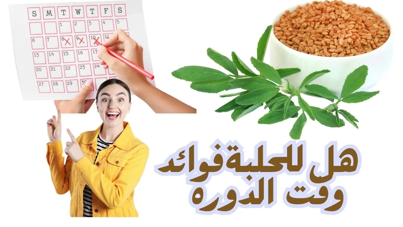 فوائد الحلبة وقت الدورة: كيف تصبح صديقك الأساسي في هذه الفترة