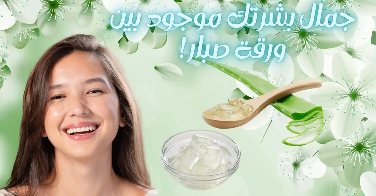 فوائد جل الصبار للوجه وطريقة استخدامه: سر البشرة النضرة داخل ورقة خضراء