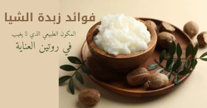 فوائد زبدة الشيا.. المكون الطبيعي الذي لا يغيب في روتين العناية فوائد-زبدة-الشيا (1)