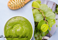 ماسك السدر لتكثيف الشعر: وصفات طبيعية وطرق الاستخدام ماسك السدر لتكثيف الشعر: وصفات طبيعية وطرق الاستخدام