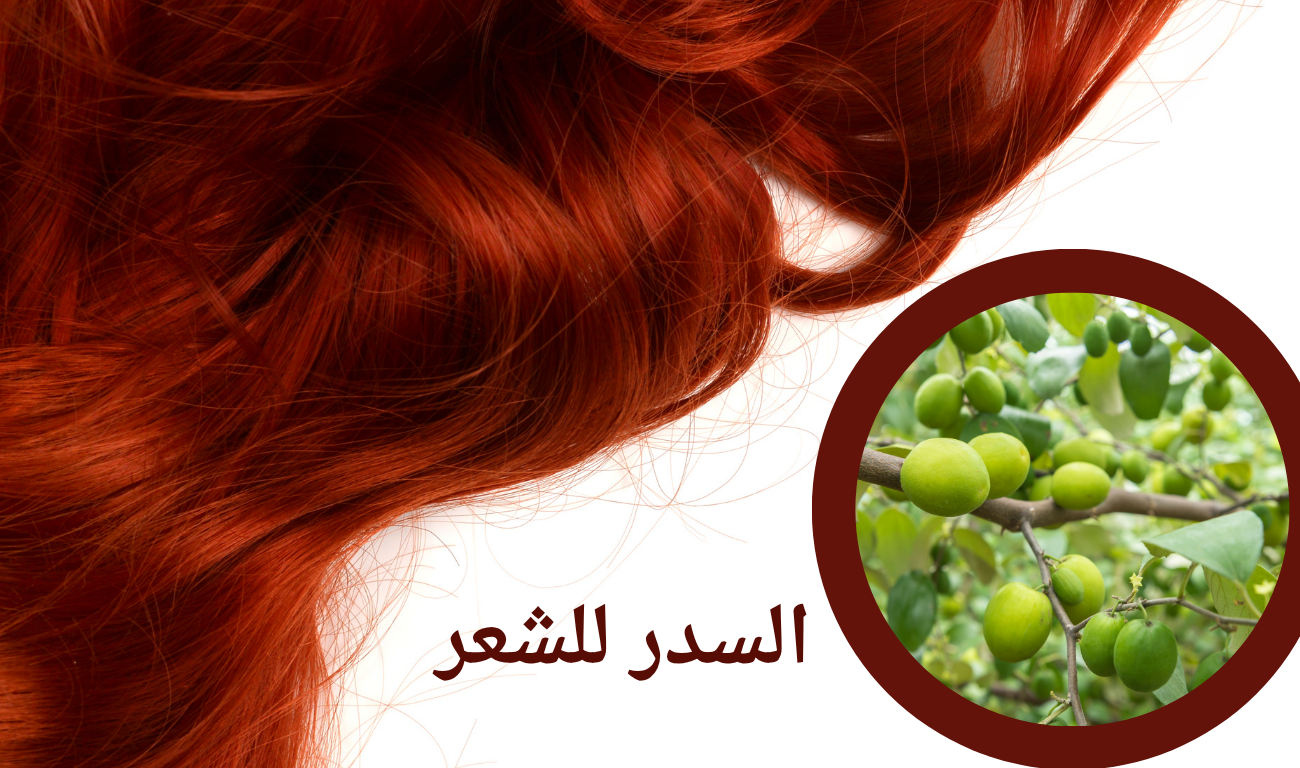 علاج تساقط الشعر: الأسباب وأفضل طرق العلاج والوصفات الطبيعية
