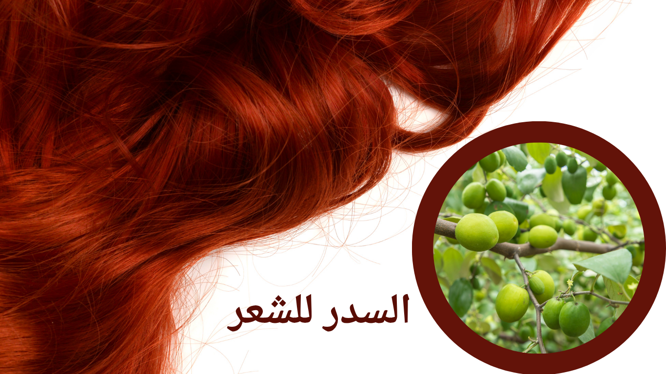 السدر للشعر: الدليل الشامل للفوائد والاستخدامات