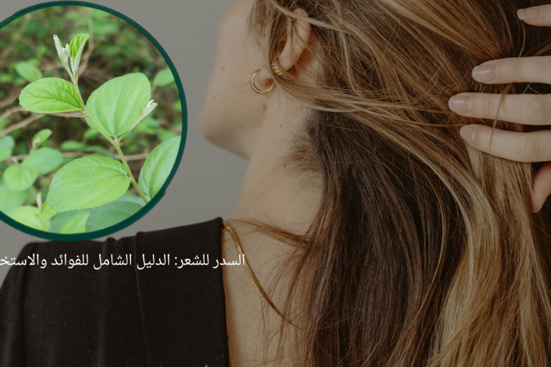 ماسك السدر لتكثيف الشعر: وصفات طبيعية وطرق الاستخدام