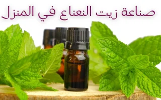 كيف تصنع عطر من الفواكه