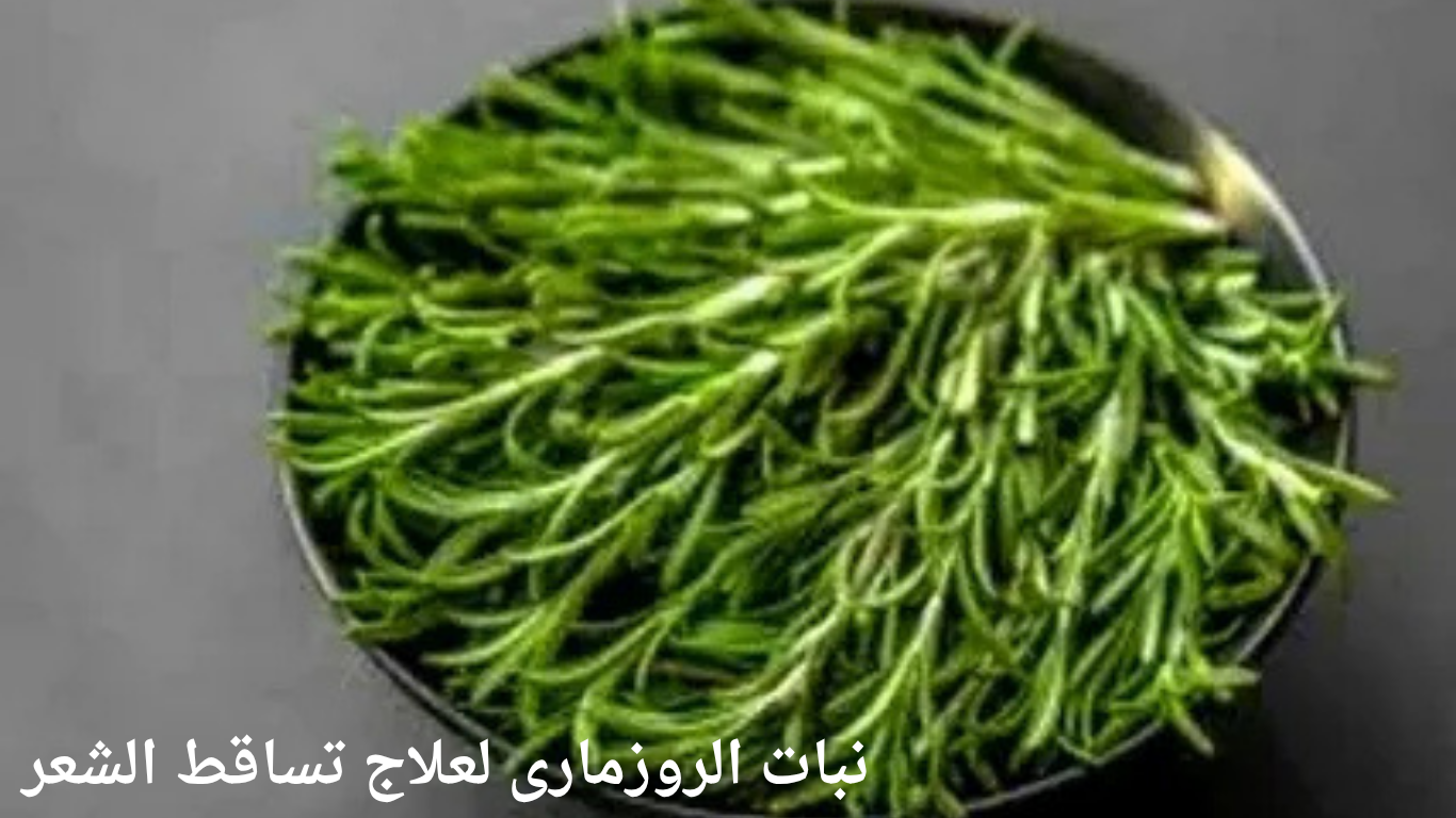 علاج تساقط الشعر: الأسباب وأفضل طرق العلاج والوصفات الطبيعية