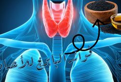 فوائد حبة البركة مع العسل للغدة الدرقية: الاستخدامات المحتملة وطريقة التحضير فوائد حبة البركة مع العسل للغدة الدرقية