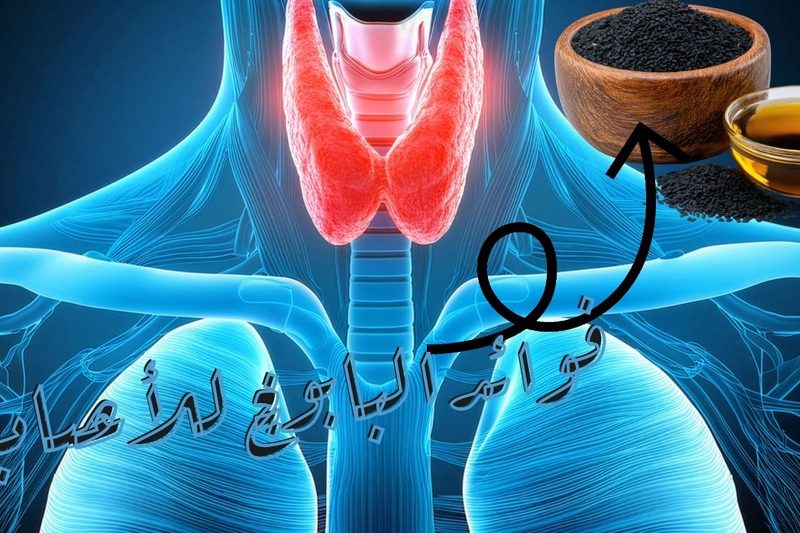 فوائد حبة البركة مع العسل للغدة الدرقية